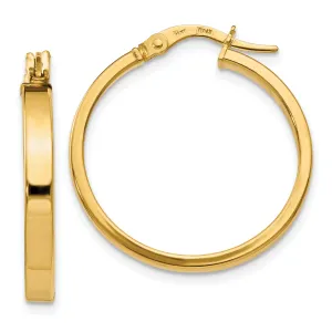 14k Yellow Gold Polished Earrings