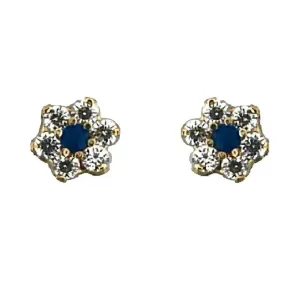 18K Yellow Gold Sapphire and Zirconia Flower Screwback Earrings