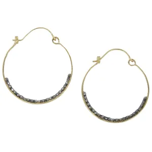 Bridget Platinum Earrings
