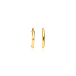 Charm Earrings