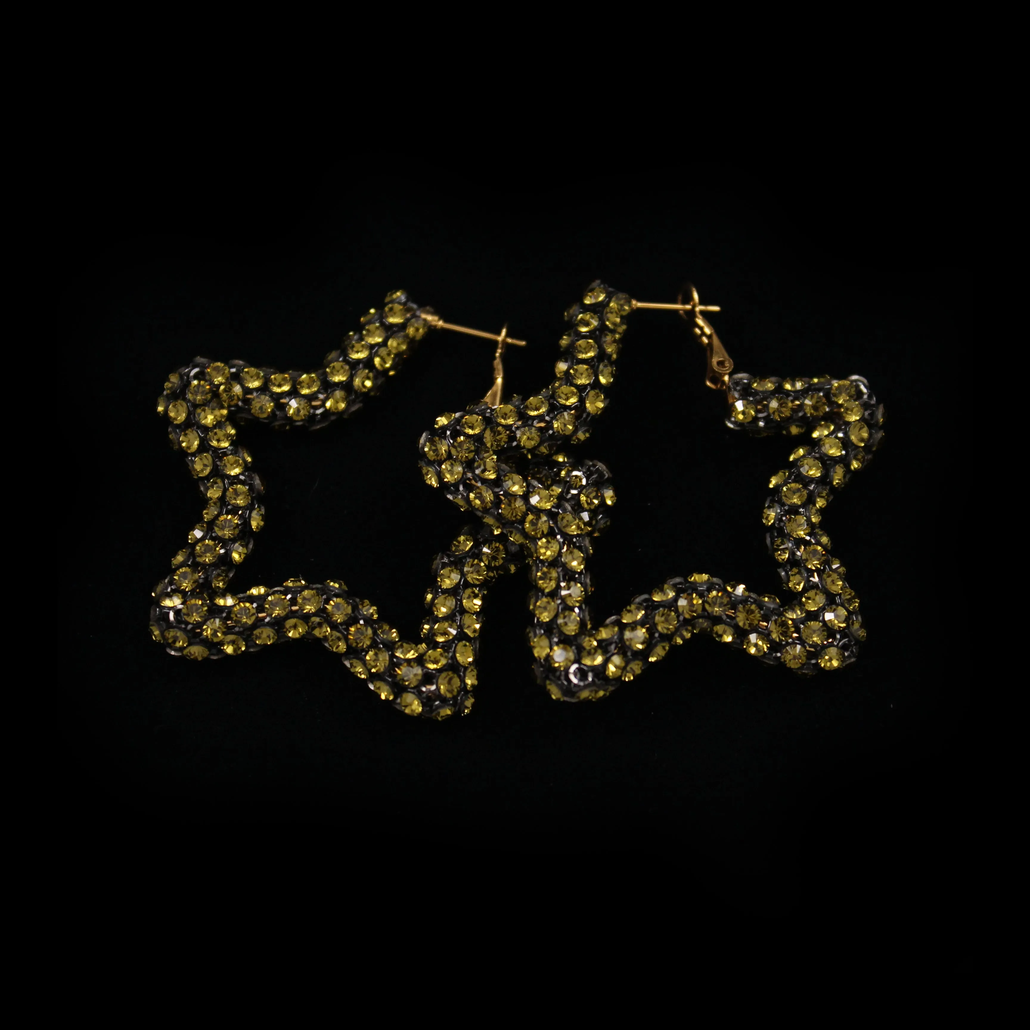 Crystal Mesh Star Hoop Earring