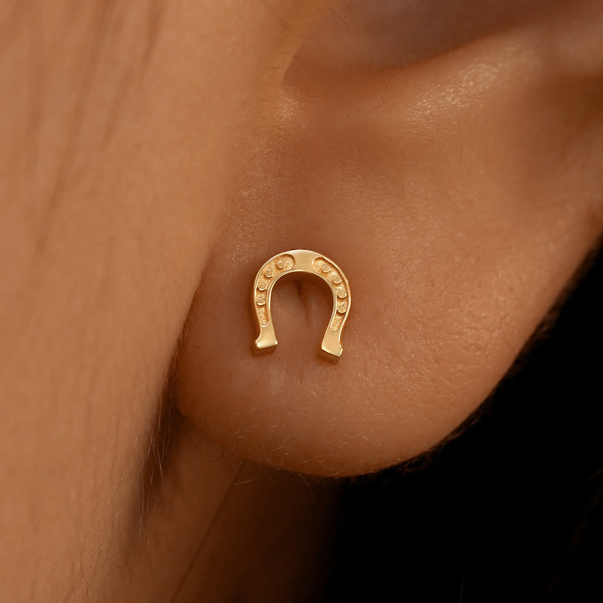 Horseshoe Earring
