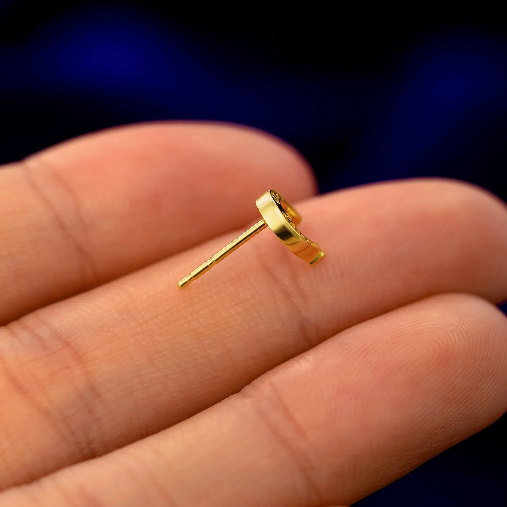 Horseshoe Earring