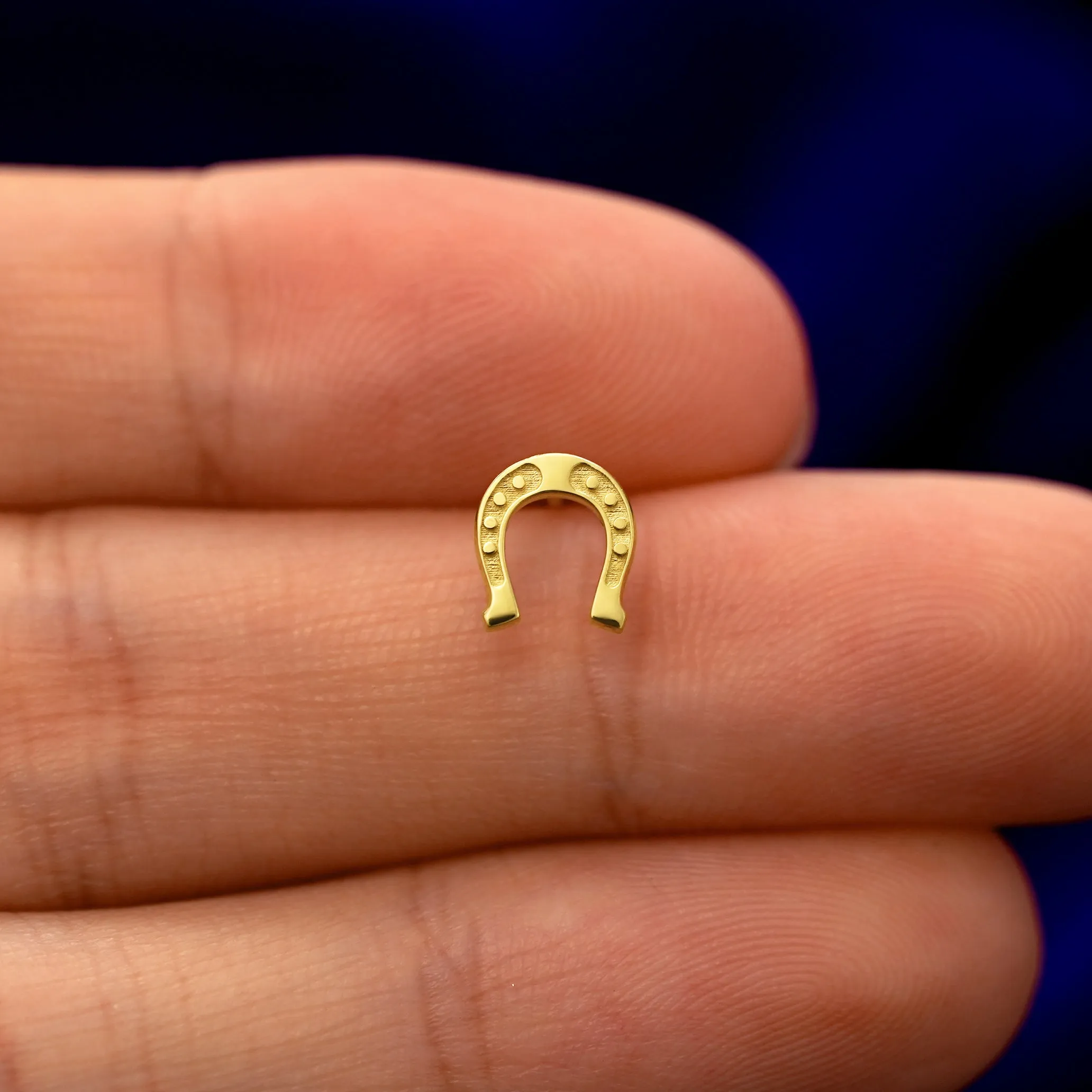 Horseshoe Earring