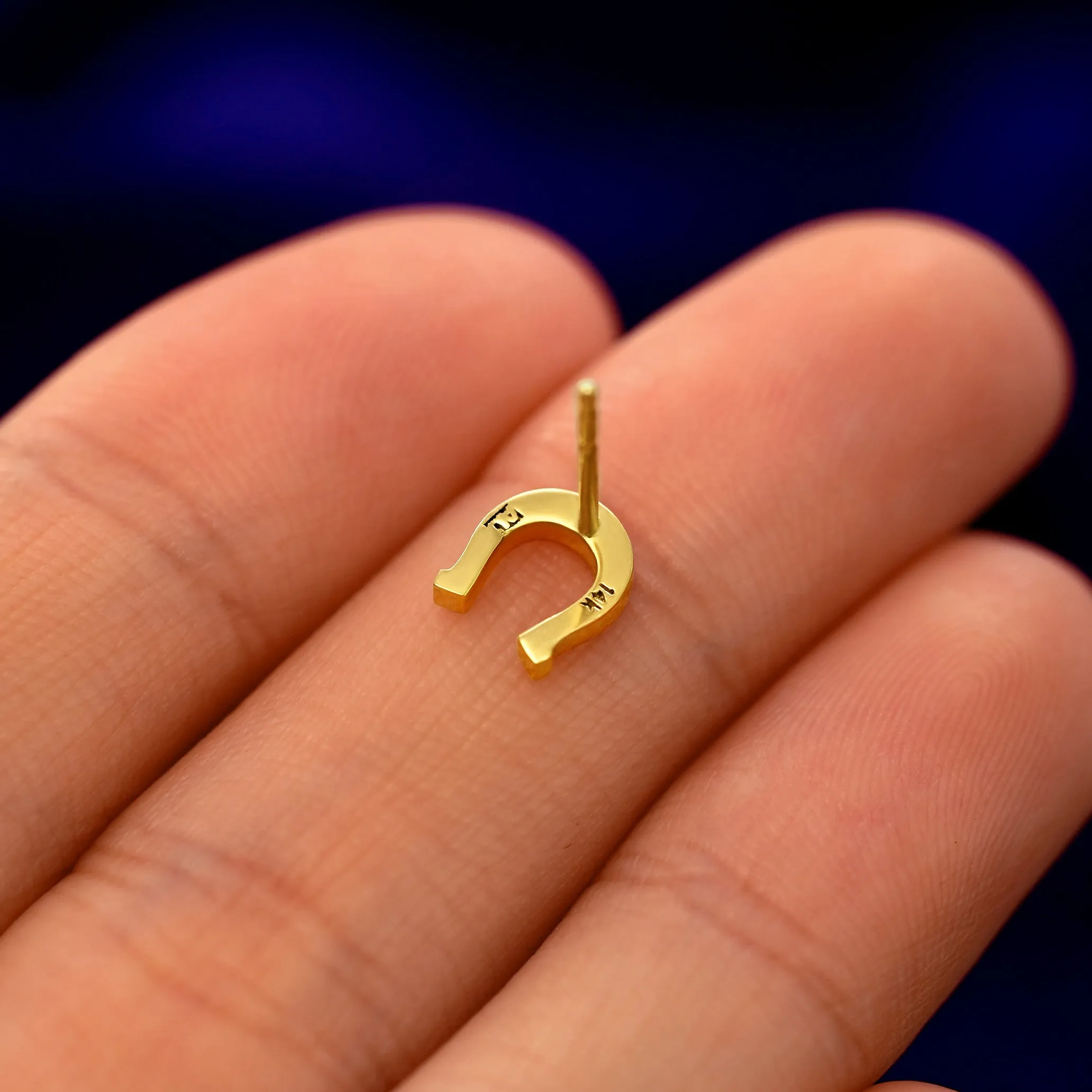 Horseshoe Earring
