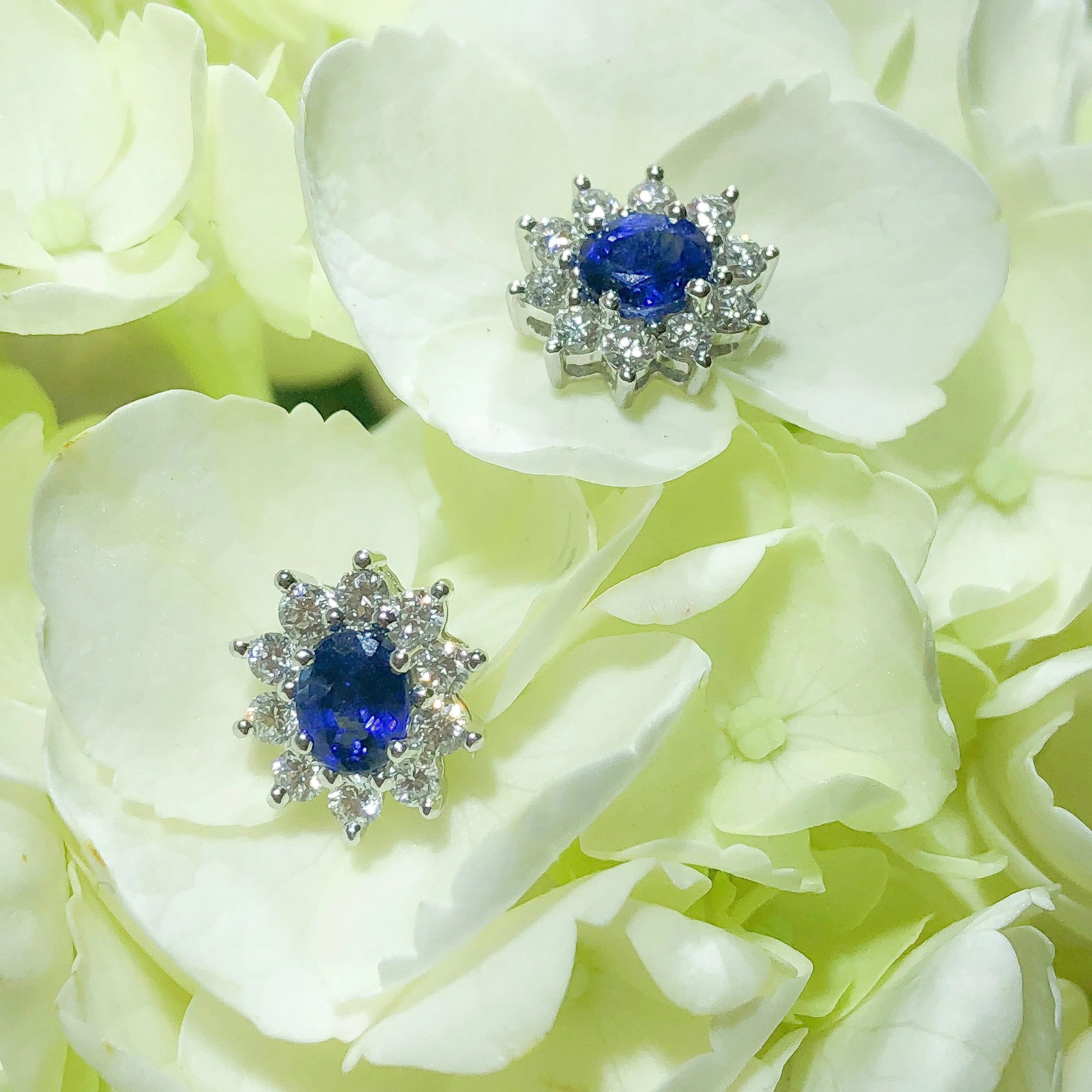 Ladies Diamond and Sapphire Earrings