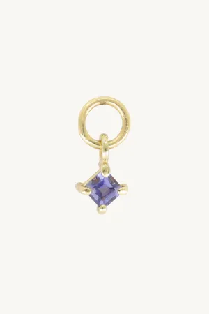 Petite Iolite Gold Charm
