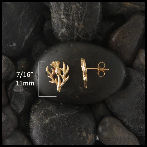 Scottish Thistle Post Earrings in Gold