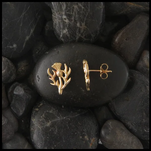 Scottish Thistle Post Earrings in Gold