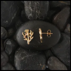 Scottish Thistle Post Earrings in Gold