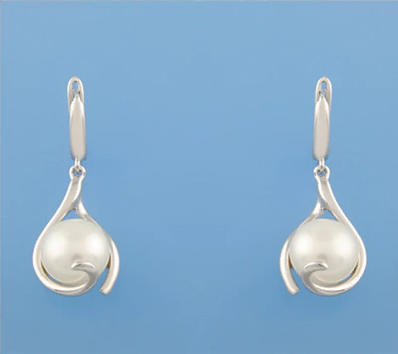 Sterling Silver Earrings with 10.5-11mm Button Shape Freshwater Pearl