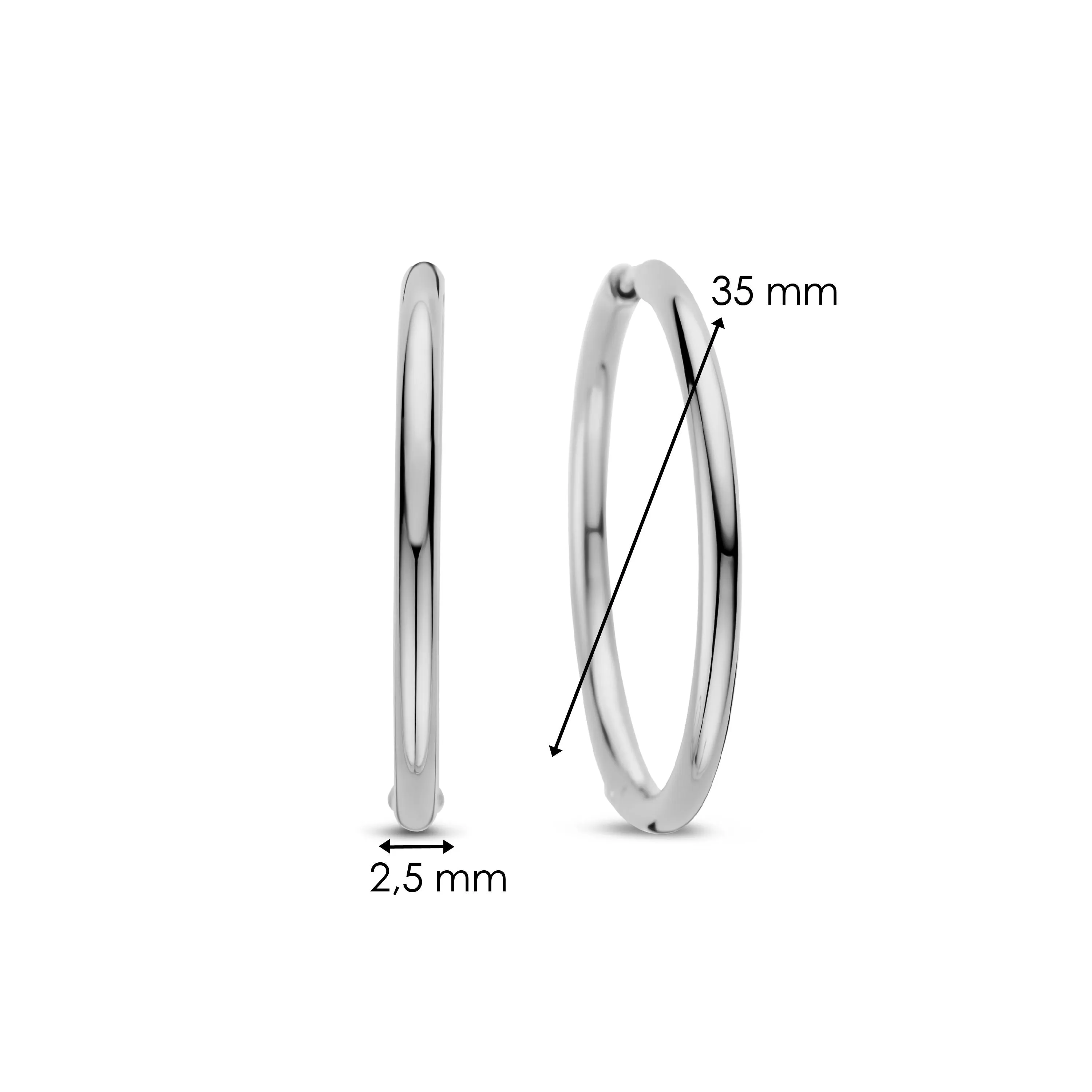 TI SENTO Earrings 78007SI
