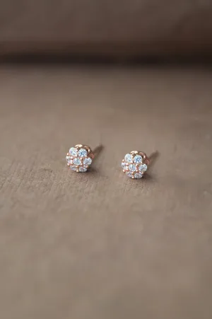 Tiny Sparkle Cluster Rose Gold Plated Sterling Silver Earrings