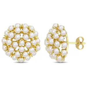 White Freshwater Cultured Pearl Earrings 10k Yellow Gold
